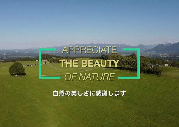 自然回帰シーンギャラリー